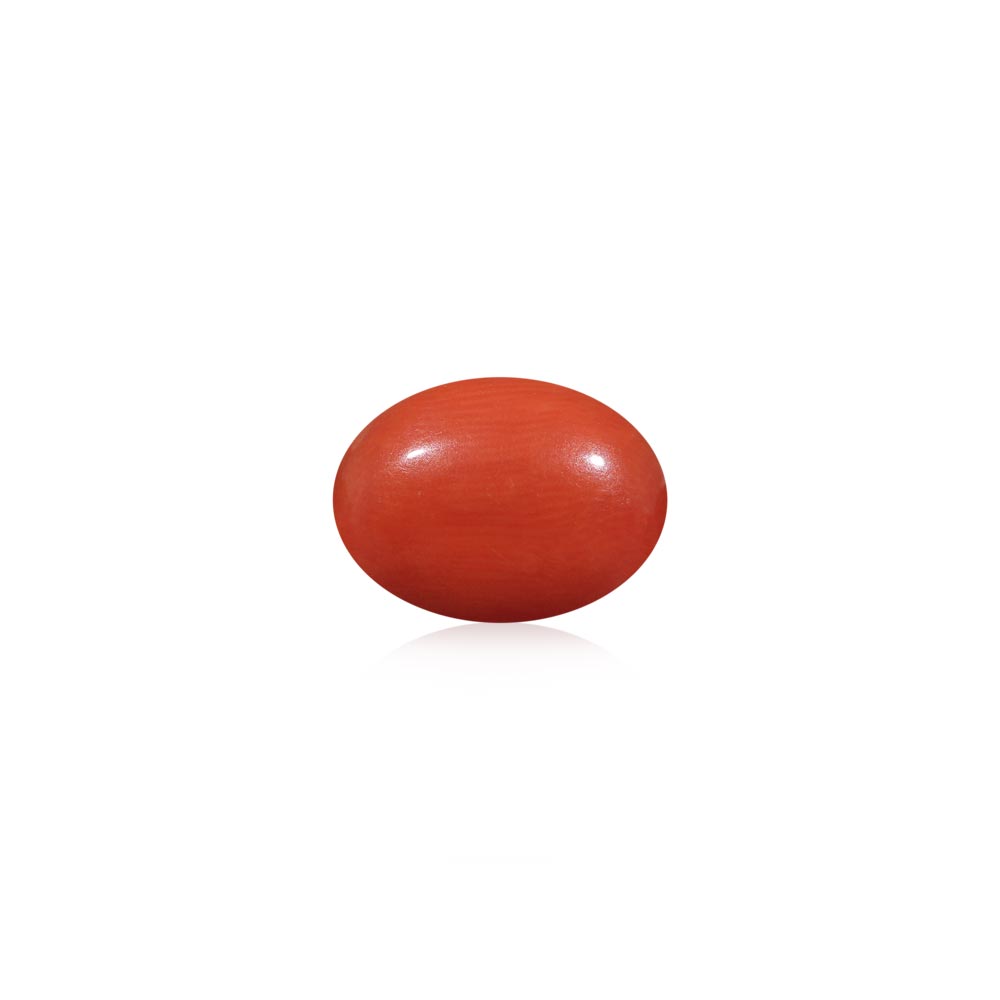 Red Coral - 5.31 Carat