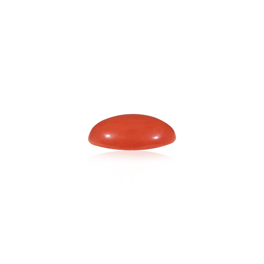 Red Coral - 5.31 Carat