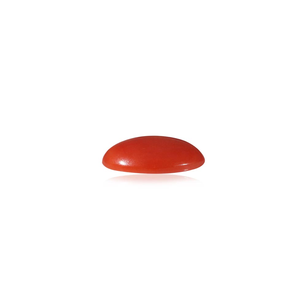 Red Coral - 4.74 Carat