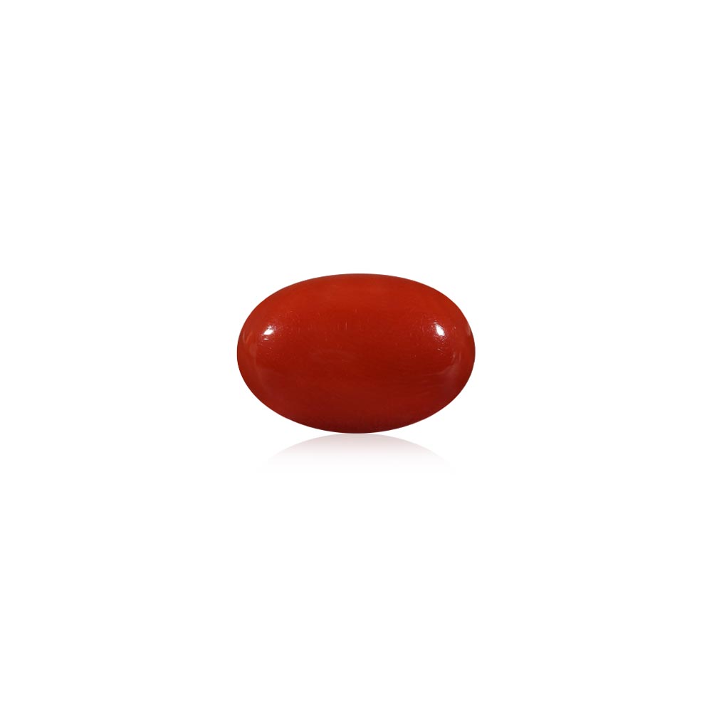 Red Coral - 5.33 Carat