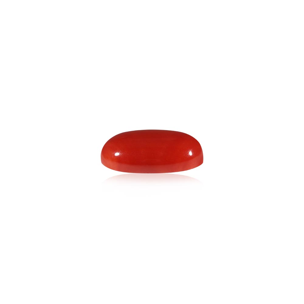 Red Coral - 5.33 Carat