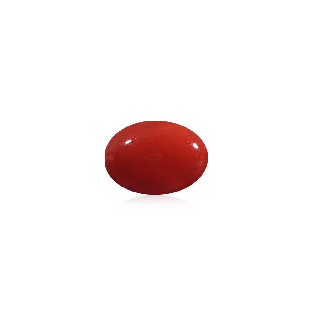 Red Coral - 6.53 Carat