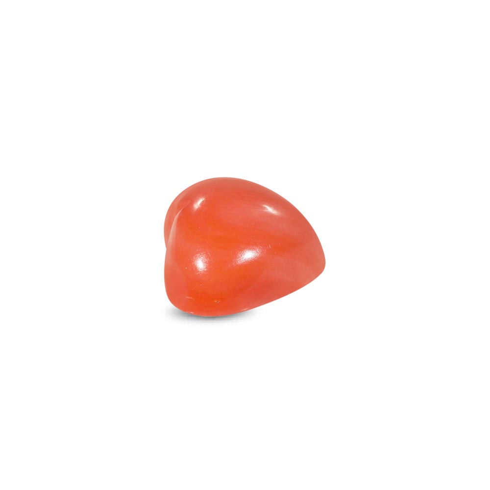 Red Coral - 5.75 Carat