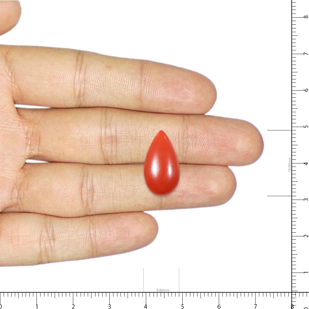 Red Coral - 6.80 Carat