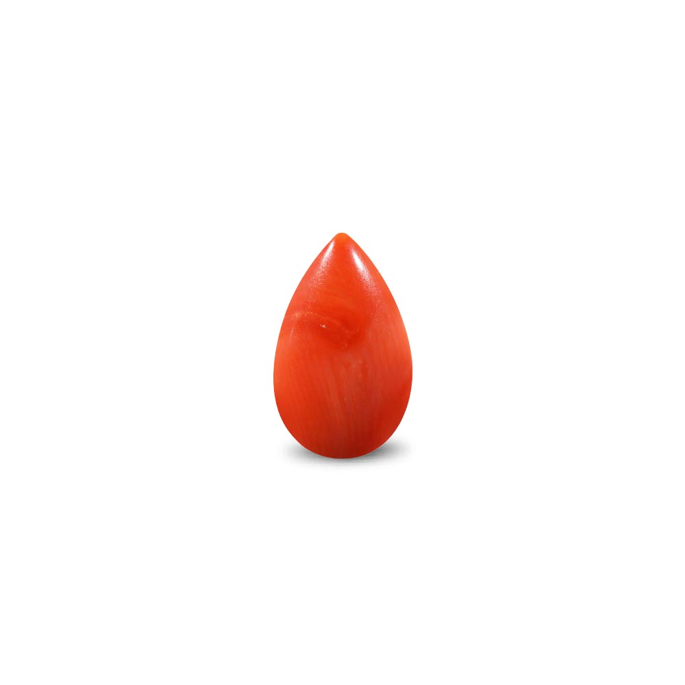 Red Coral - 7.15 Carat