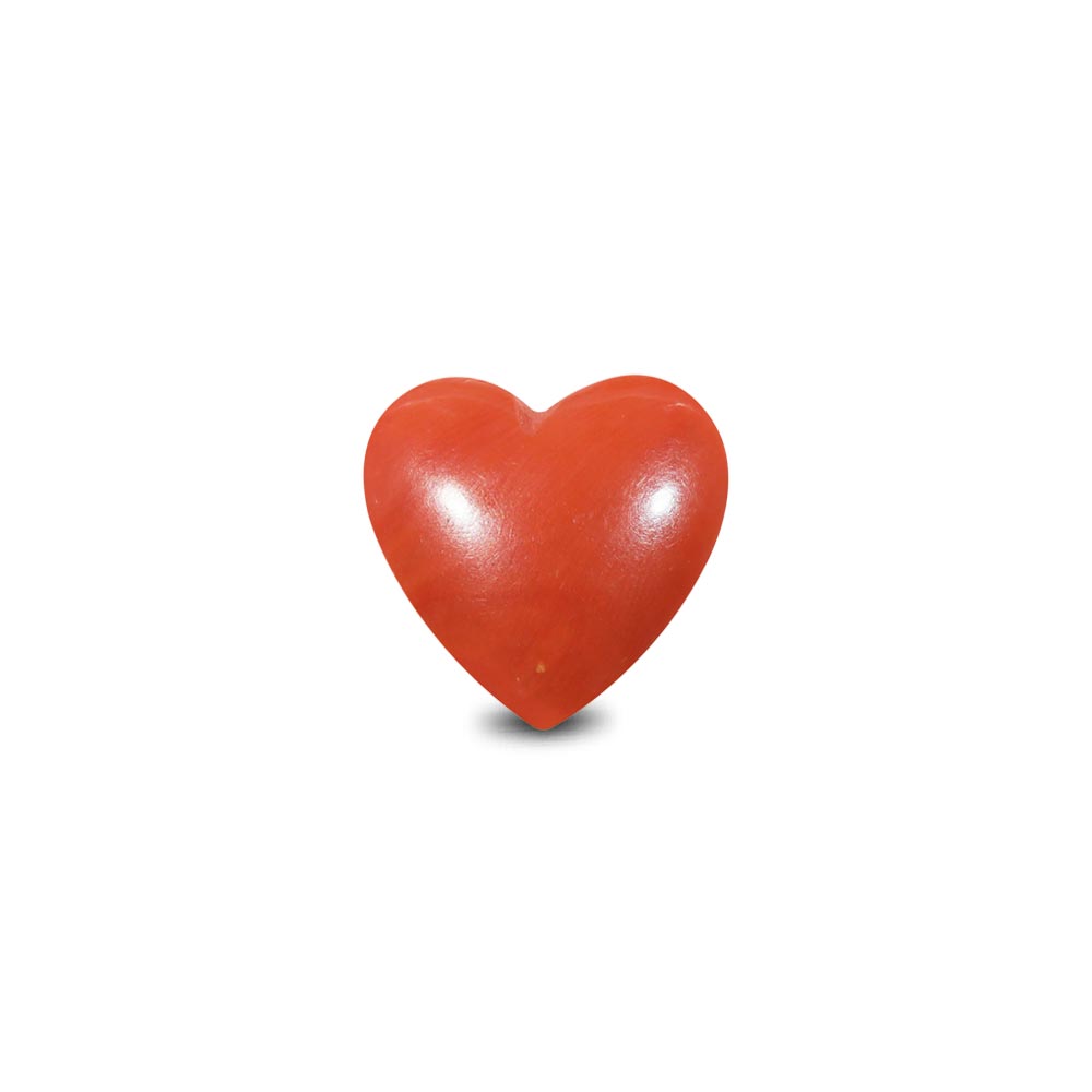 Red Coral - 7.80 Carat