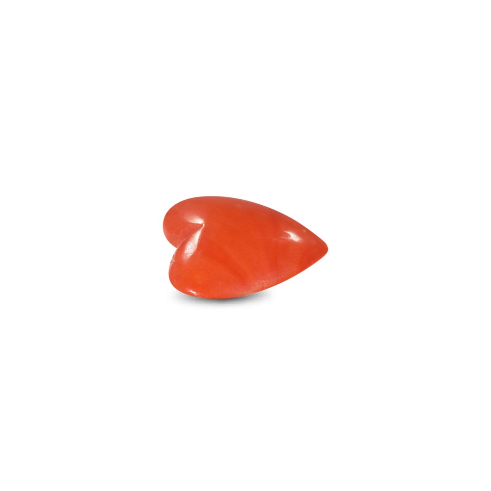 Red Coral - 7.80 Carat