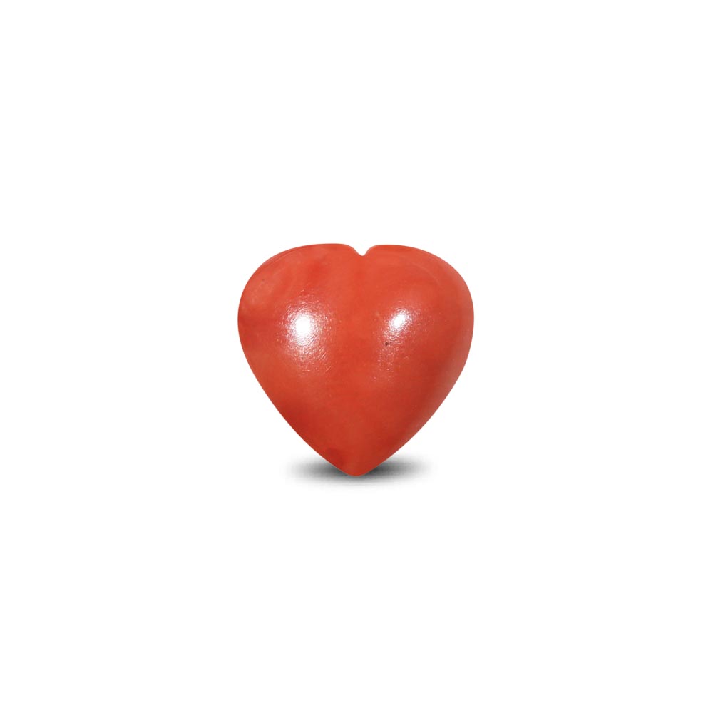 Red Coral - 9.60 Carat