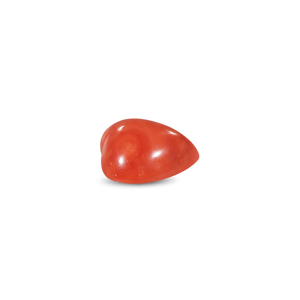 Red Coral - 9.60 Carat