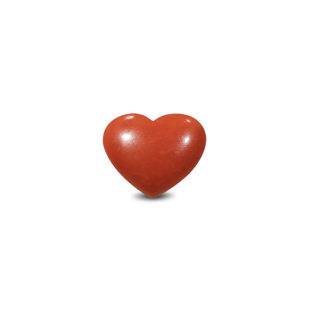 Red Coral - 20.00 Carat