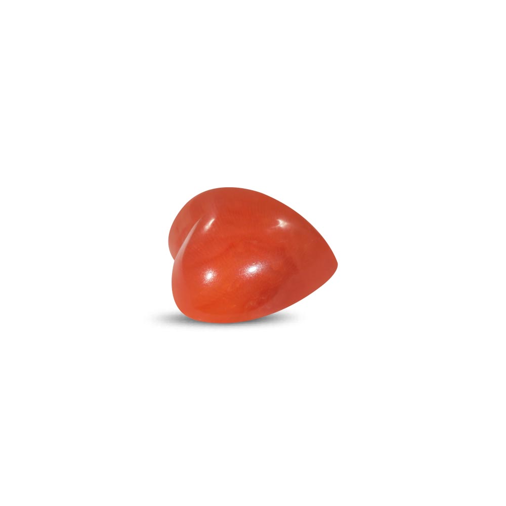 Red Coral - 20.00 Carat