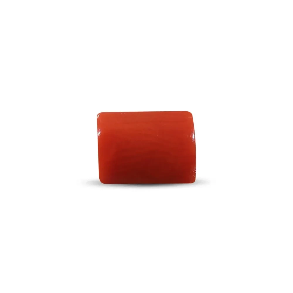 Red Coral (Moonga Stone) - 2.55 Carat