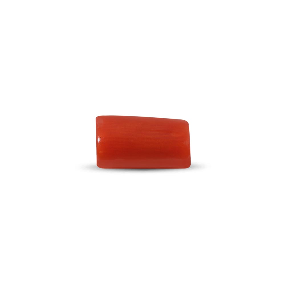 Red Coral (Moonga Stone) - 2.55 Carat