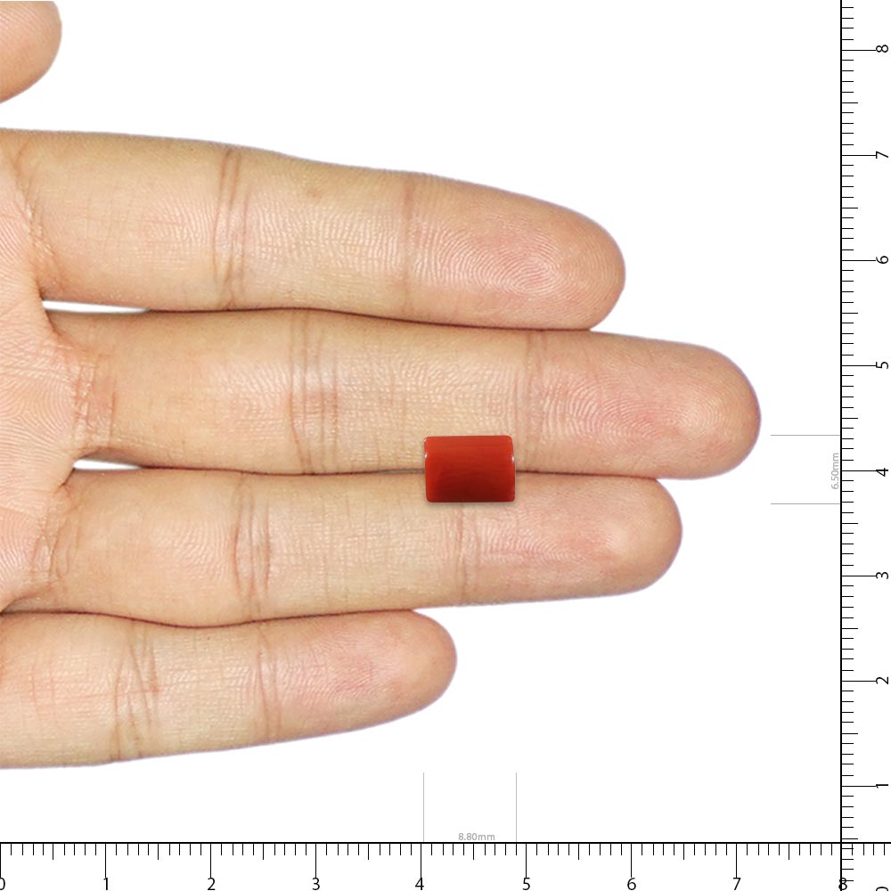 Red Coral (Moonga Stone) - 2.55 Carat