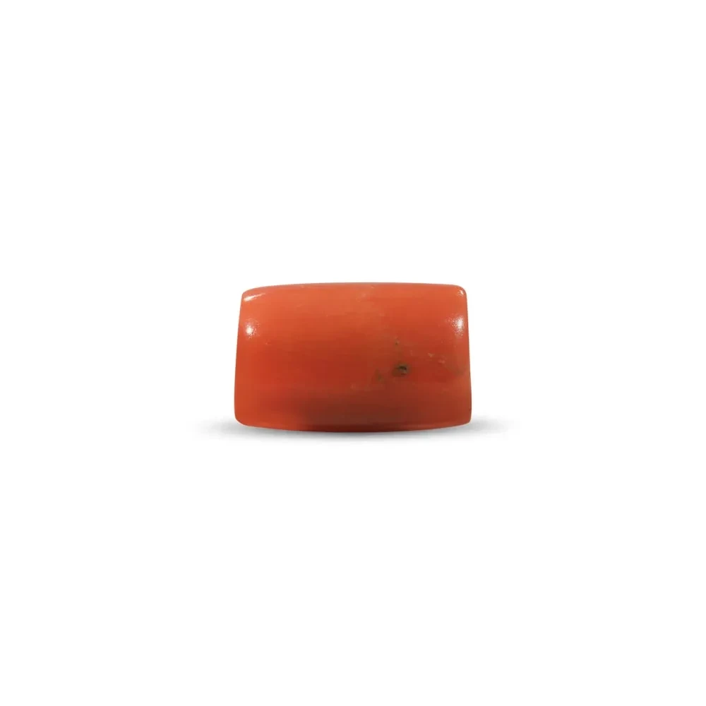 Red Coral (Moonga Stone) - 3.60 Carat