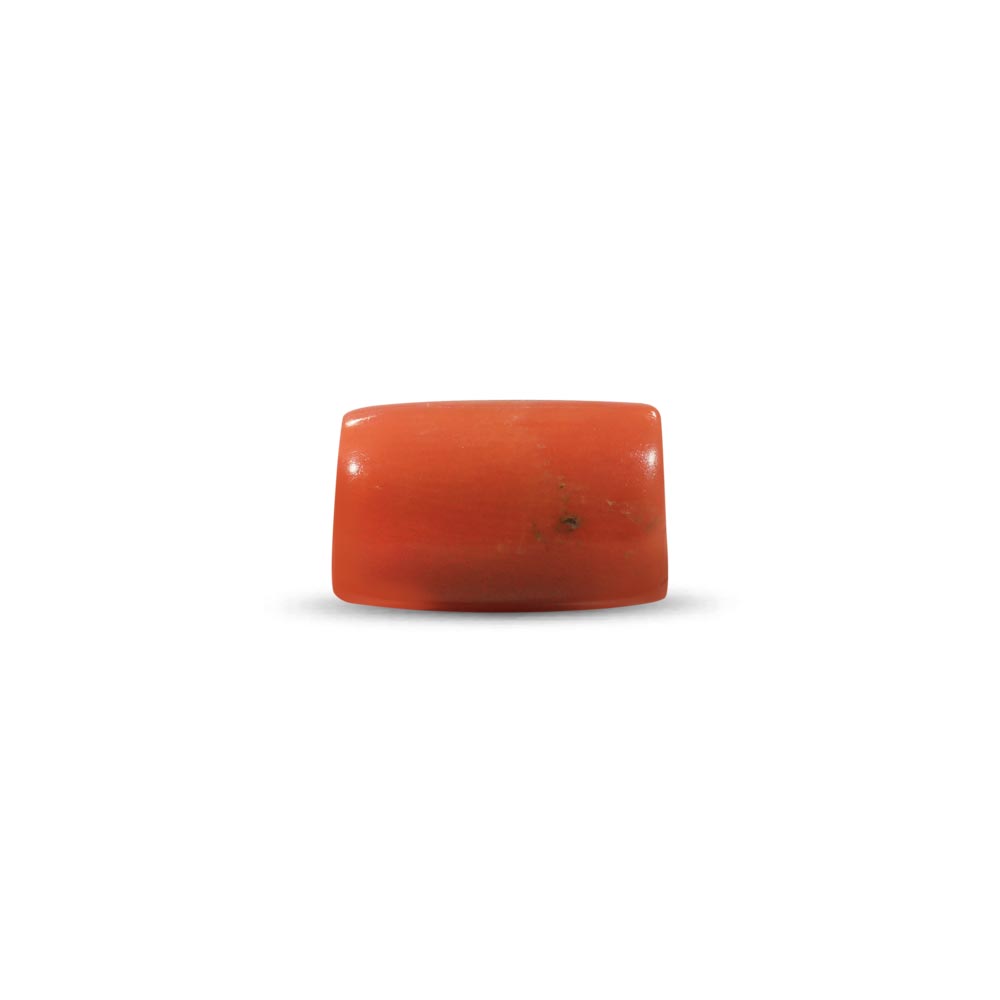 Red Coral (Moonga Stone) - 3.60 Carat