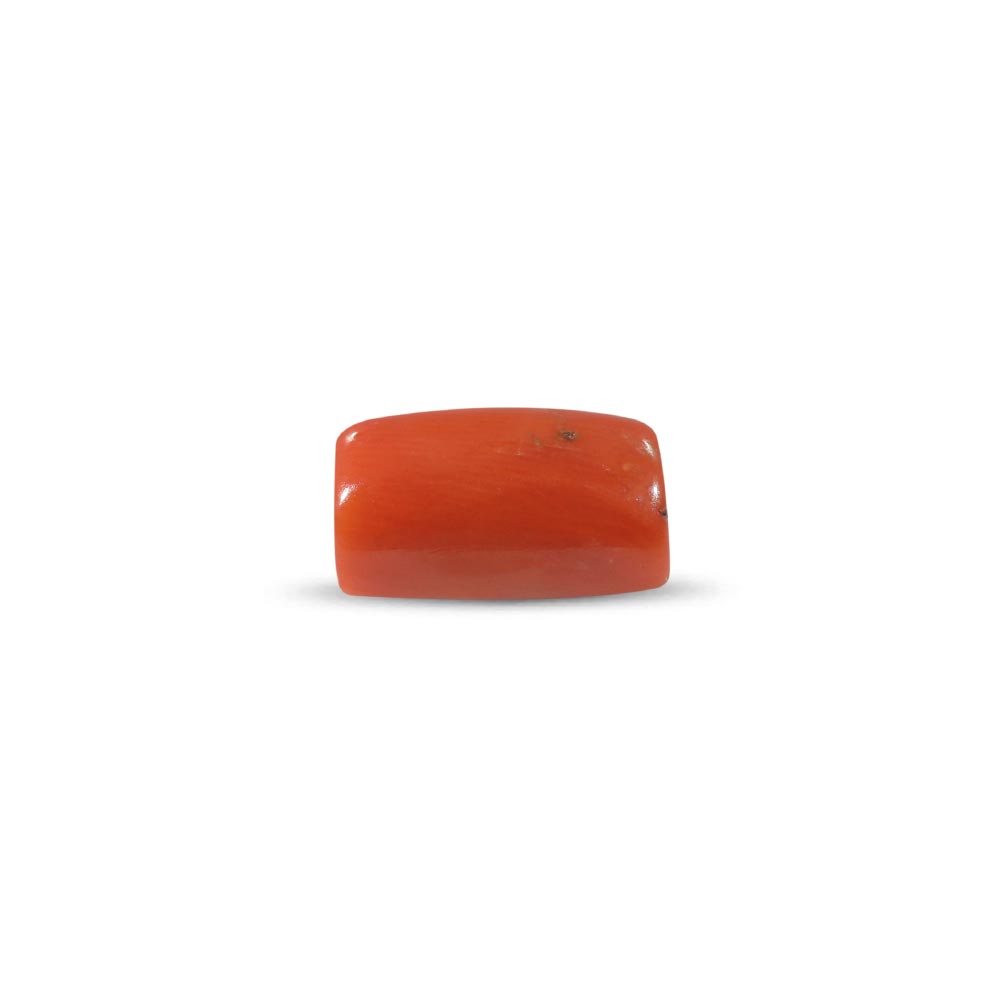 Red Coral (Moonga Stone) - 3.60 Carat