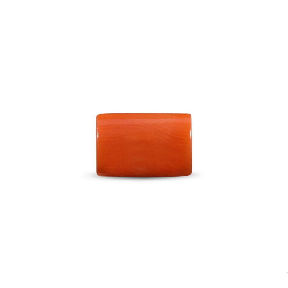 Red Coral (Moonga) - 4.55 Carat