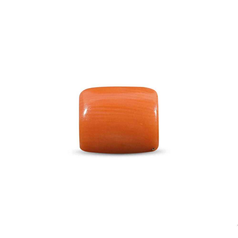 Red Coral (Moonga) - 4.40 Carat