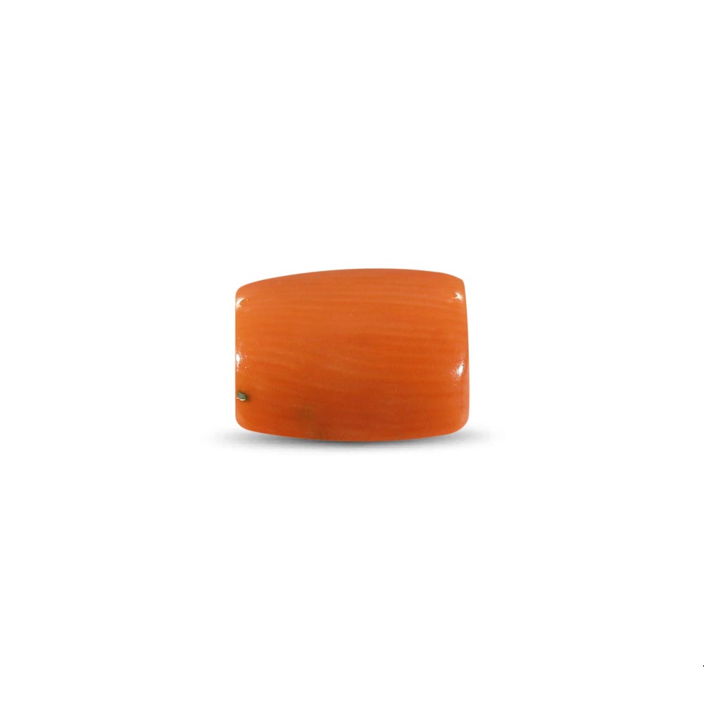 Red Coral (Moonga) - 4.40 Carat