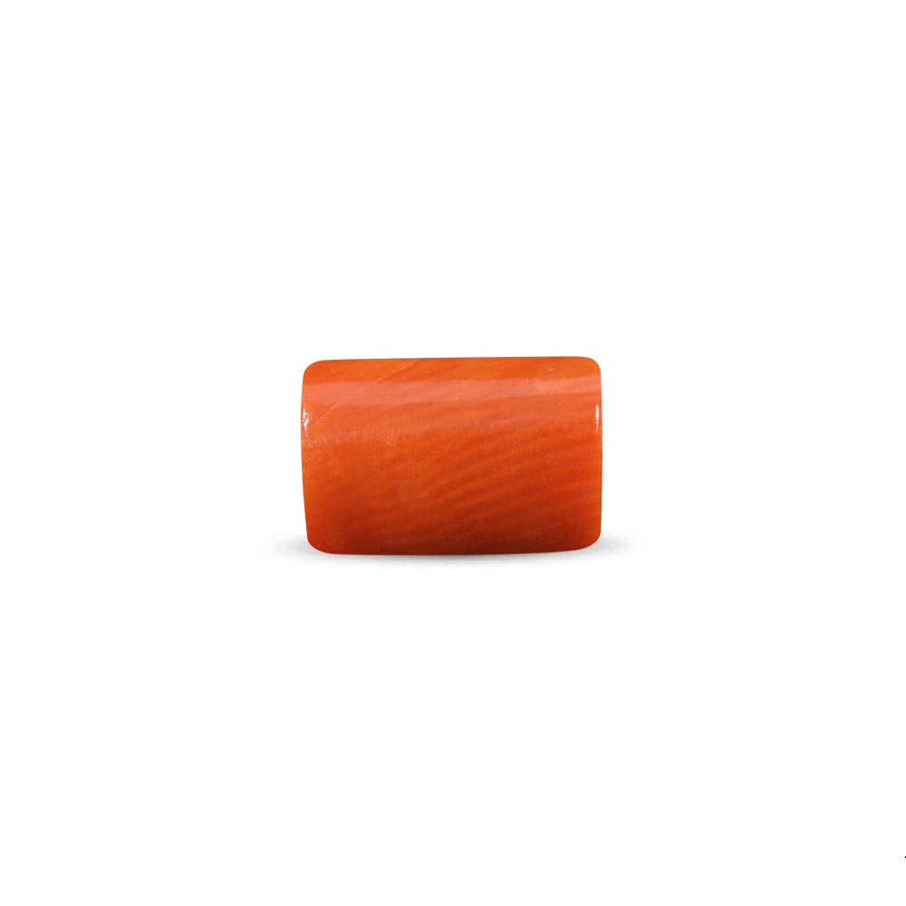 Red Coral - 6.15 Carat