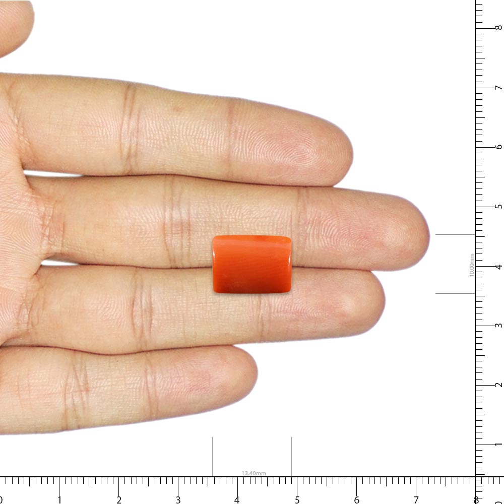 Red Coral - 7.09 Carat