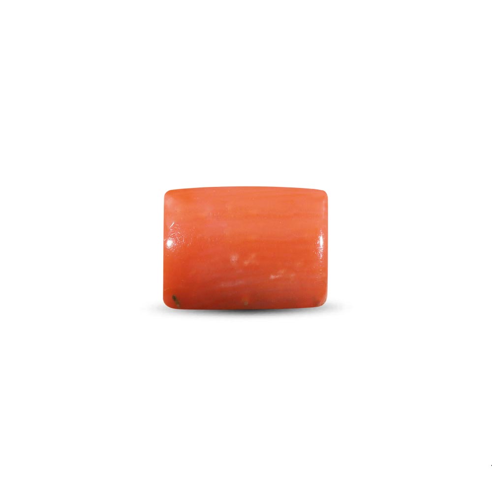 Red Coral - 7.10 Carat