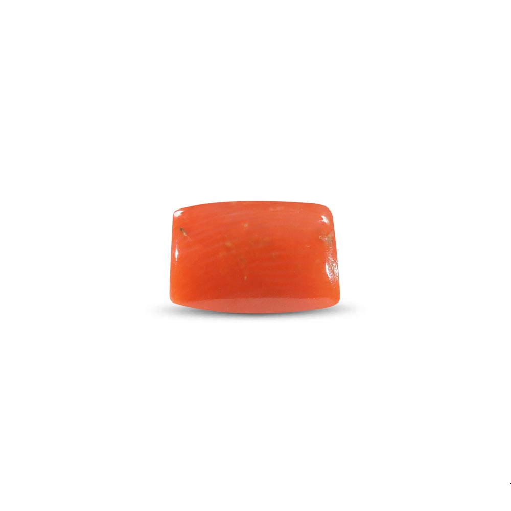 Red Coral - 7.10 Carat