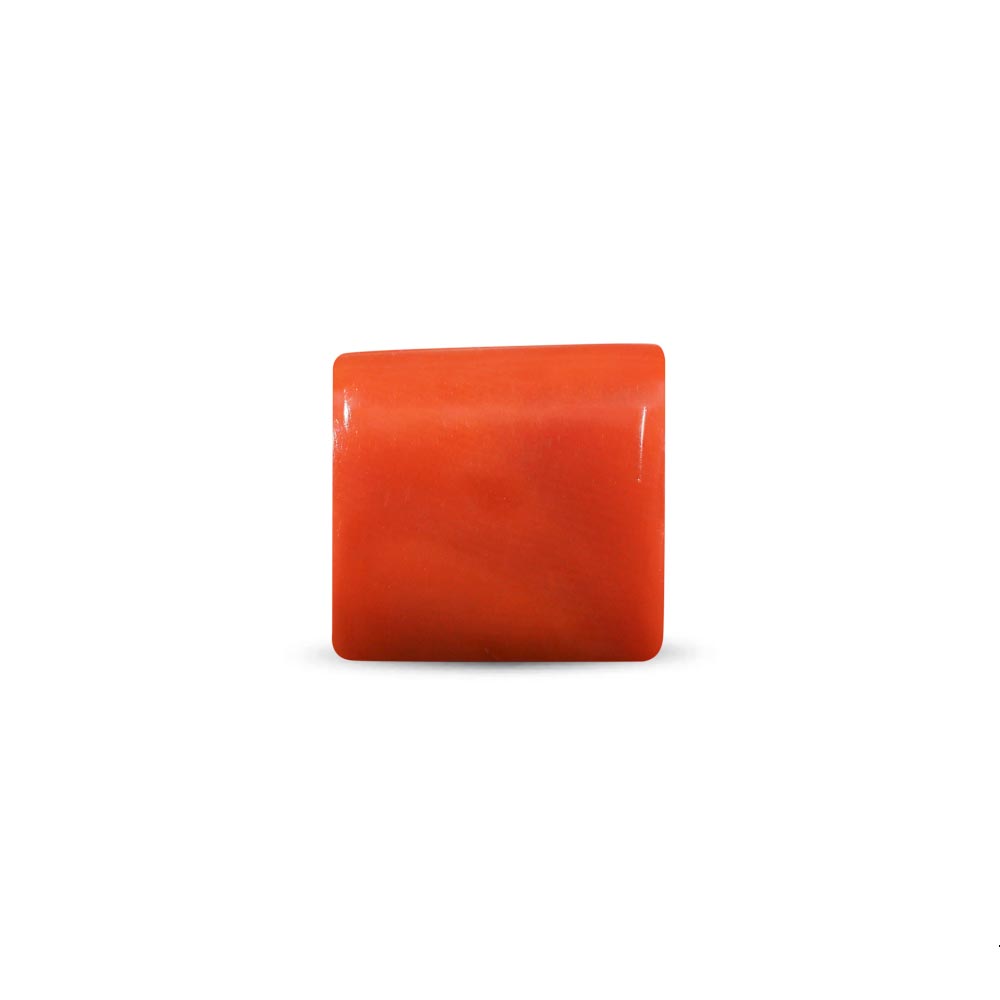 Red Coral - 7.10 Carat