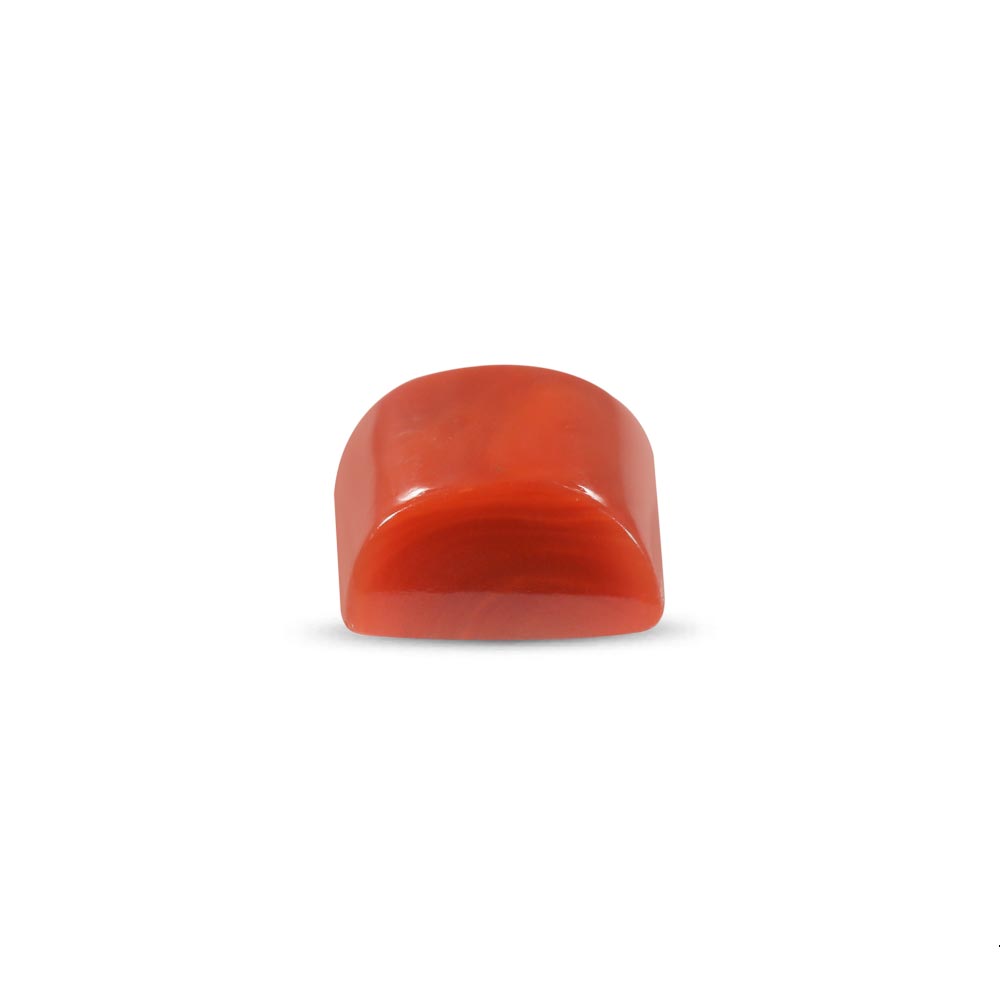 Red Coral - 7.10 Carat