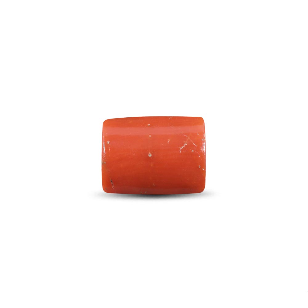 Red Coral - 7.40 Carat