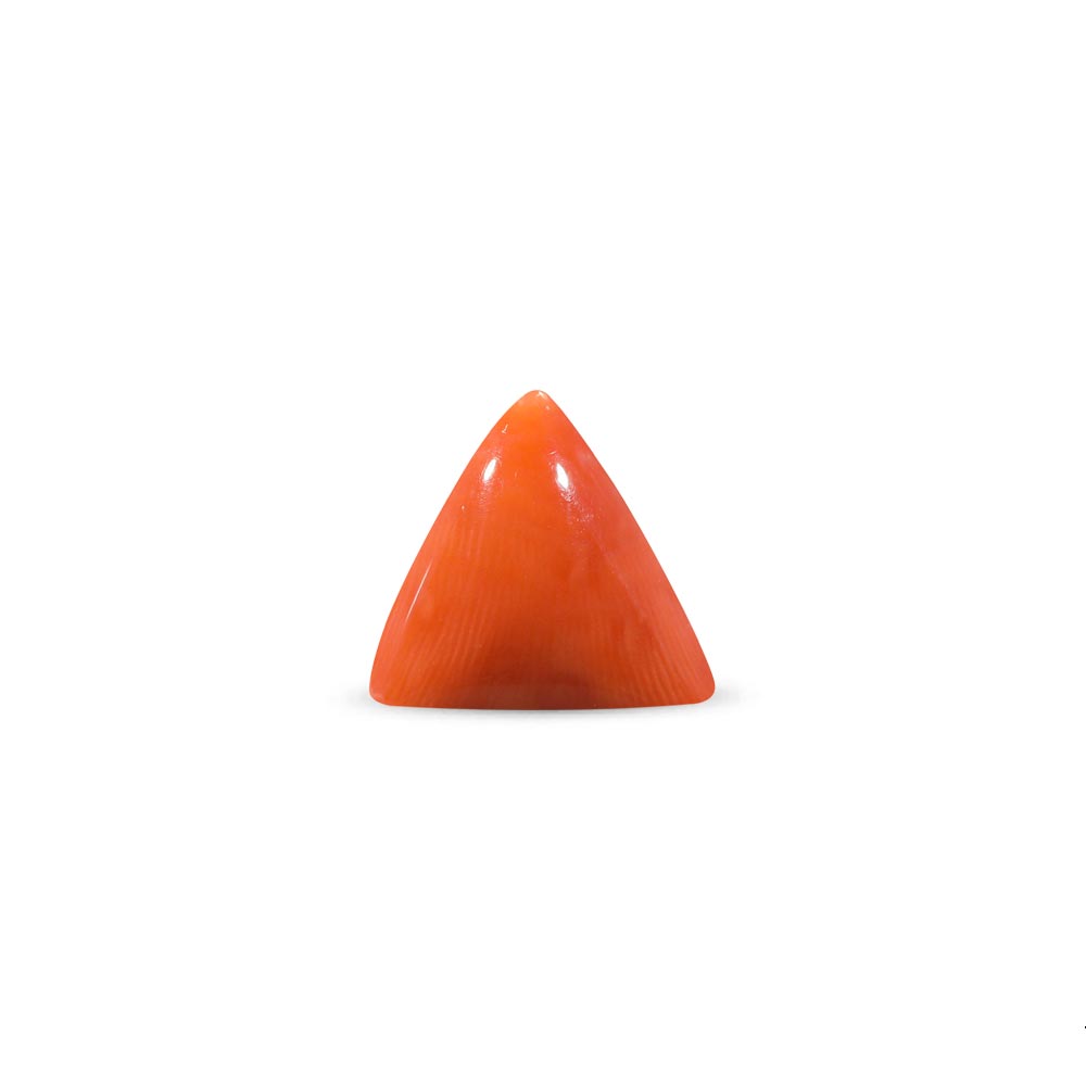 Red Coral - 14.24 Carat