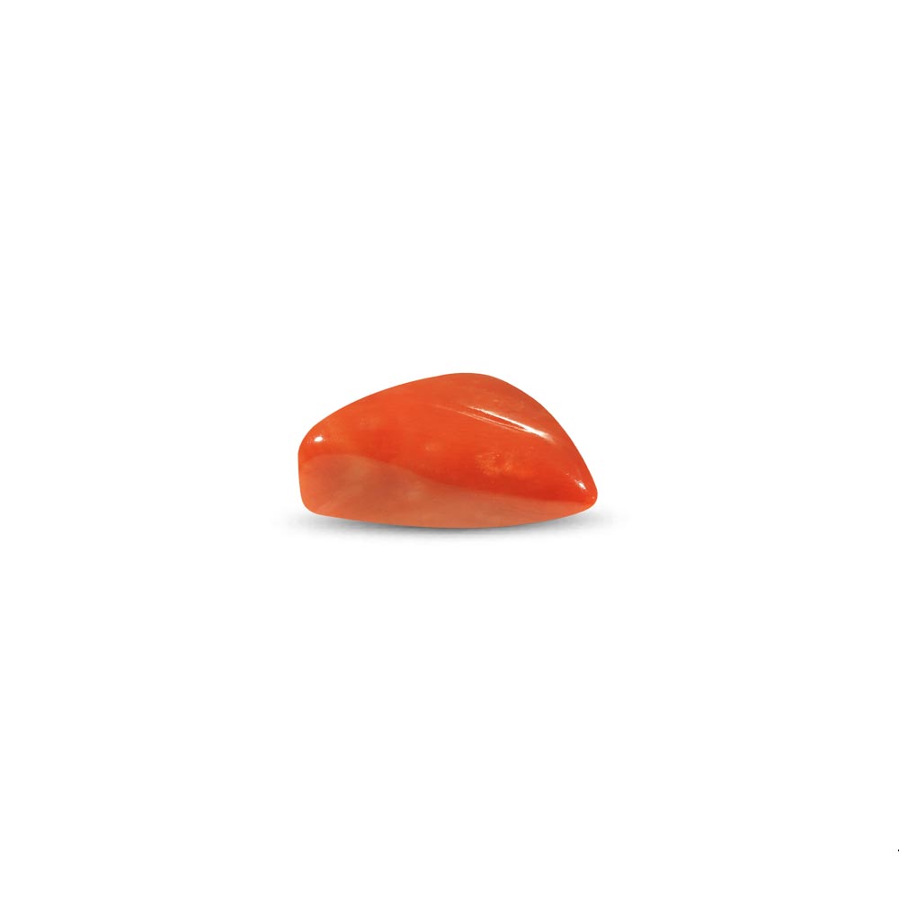 Red Coral - 14.24 Carat