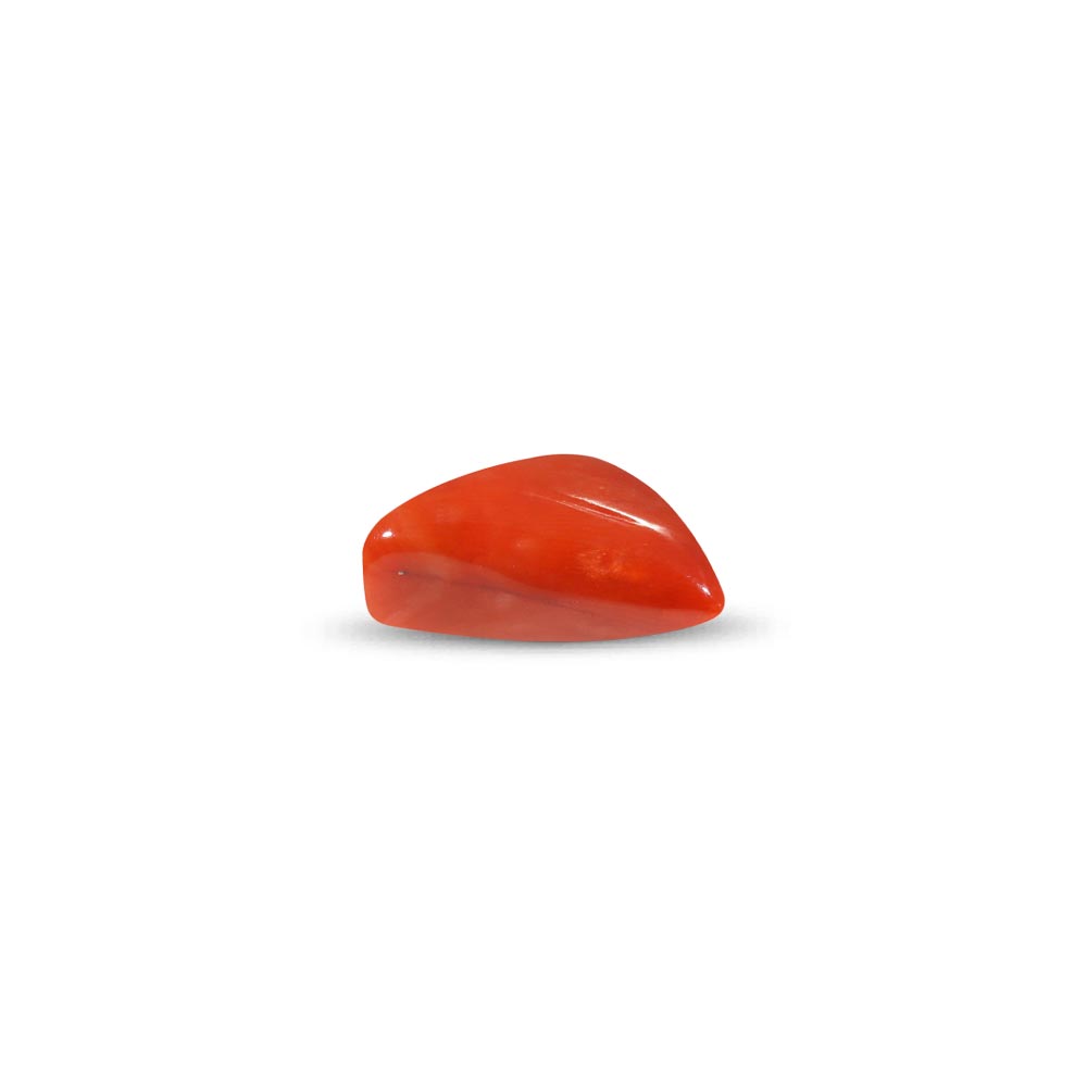Red Coral - 19.72 Carat