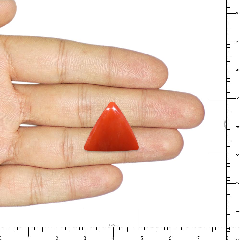 Red Coral - 19.72 Carat