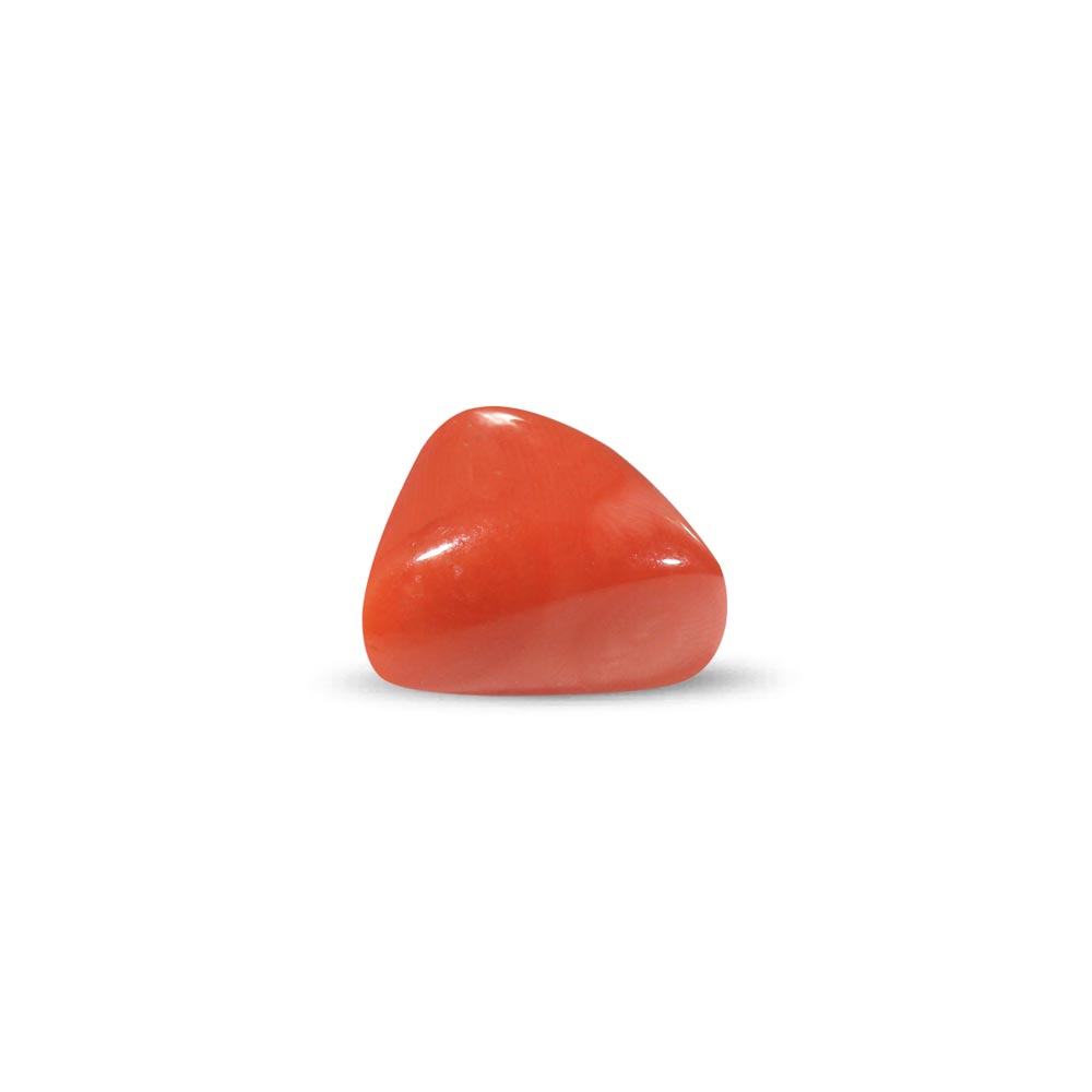 Red Coral - 22.3 Carat