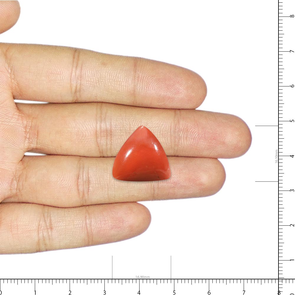 Red Coral - 22.3 Carat