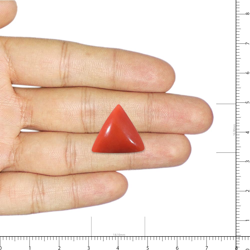 Red Coral - 24.85 Carat