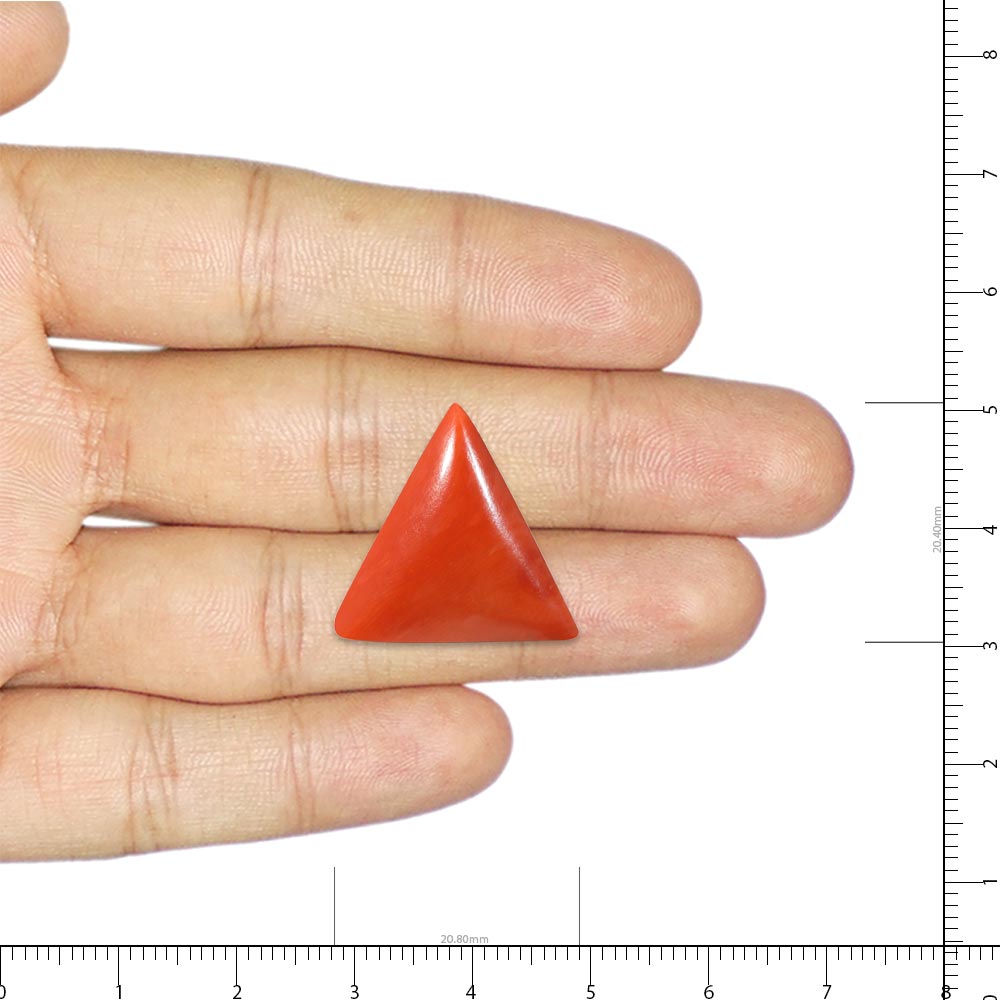 Red Coral - 24.97 Carat