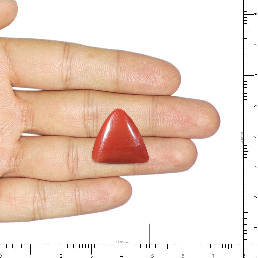 Red Coral - 25.5 Carat