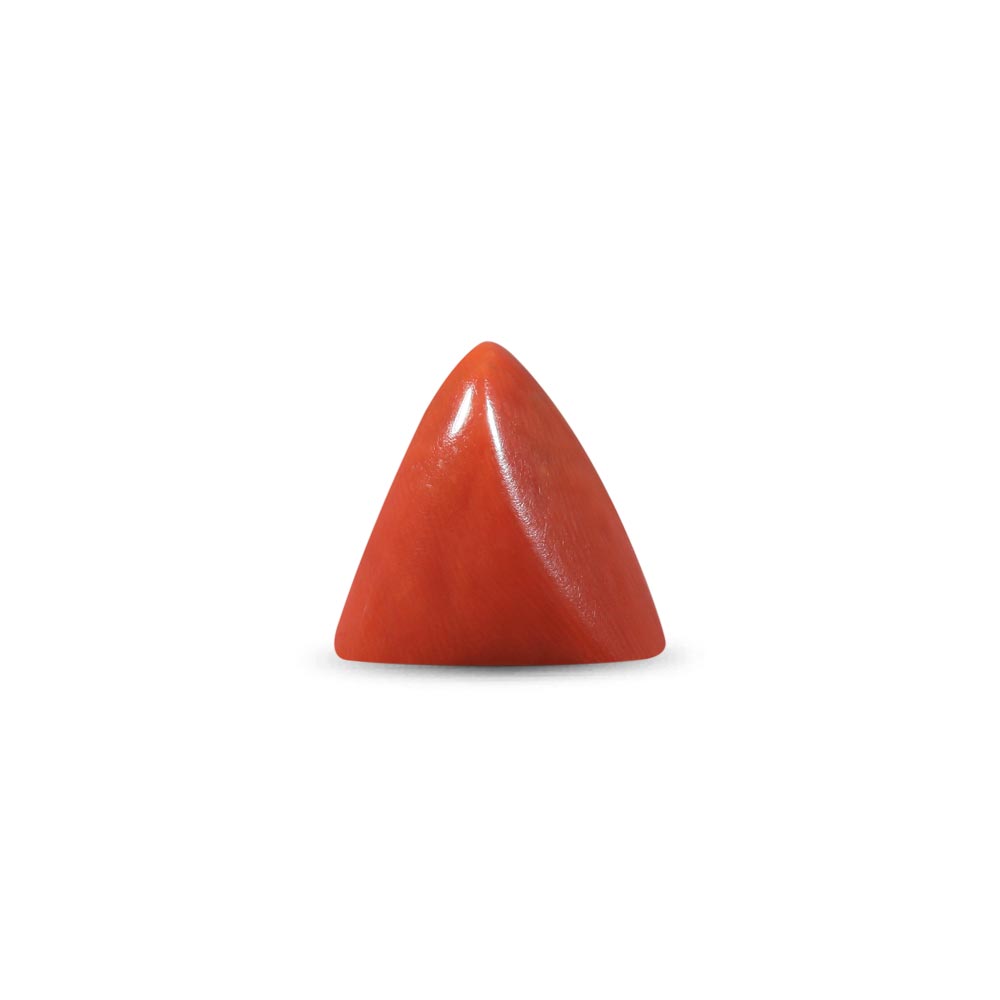 Red Coral - 26.03 Carat