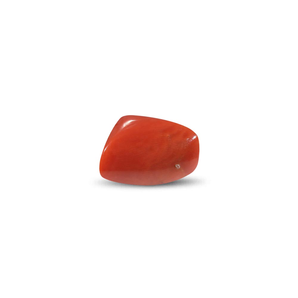Red Coral - 26.03 Carat