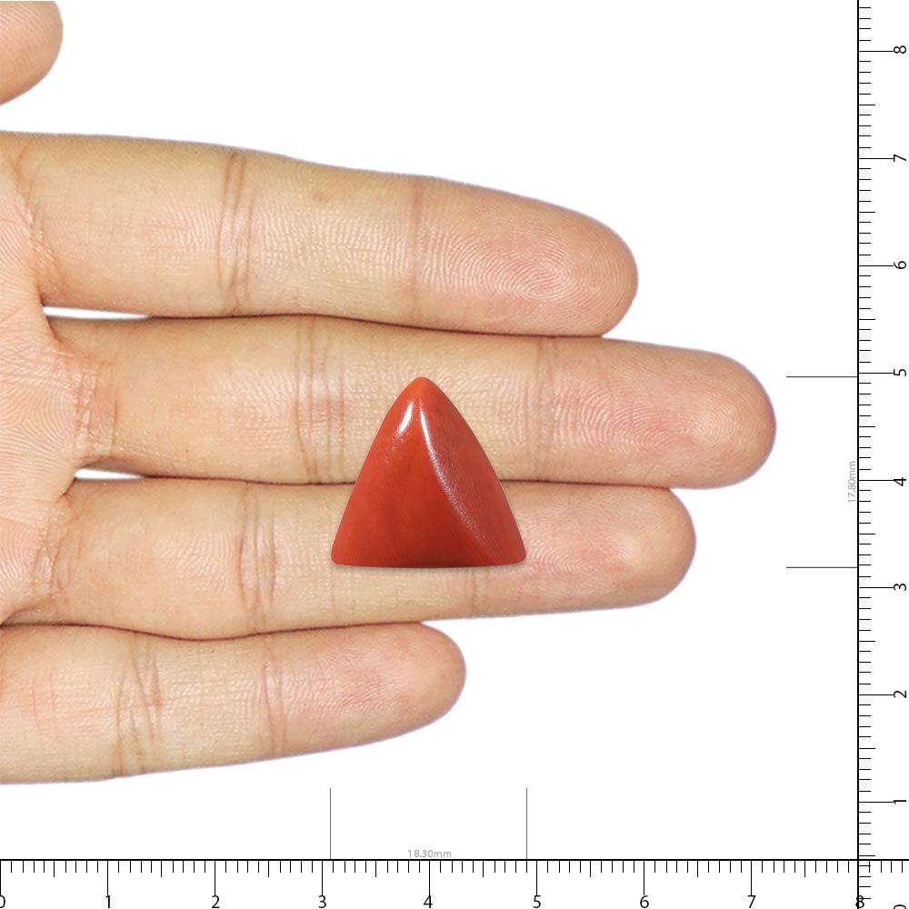 Red Coral - 26.03 Carat