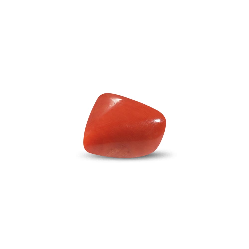 Red Coral - 26.85 Carat