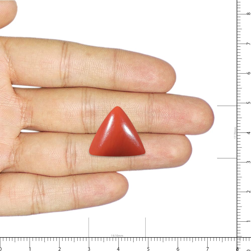 Red Coral - 26.85 Carat