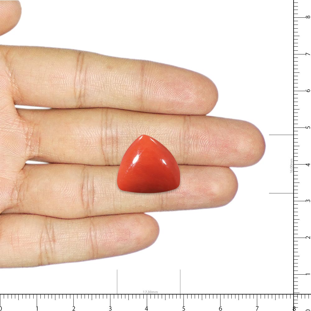 Red Coral - 27.09 Carat