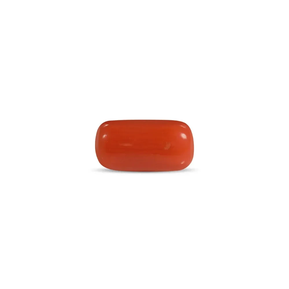 Red Coral - 2.28 Carat