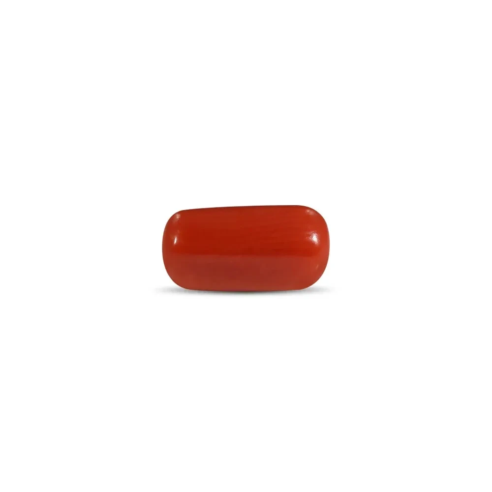 Red Coral - 2.36 Carat