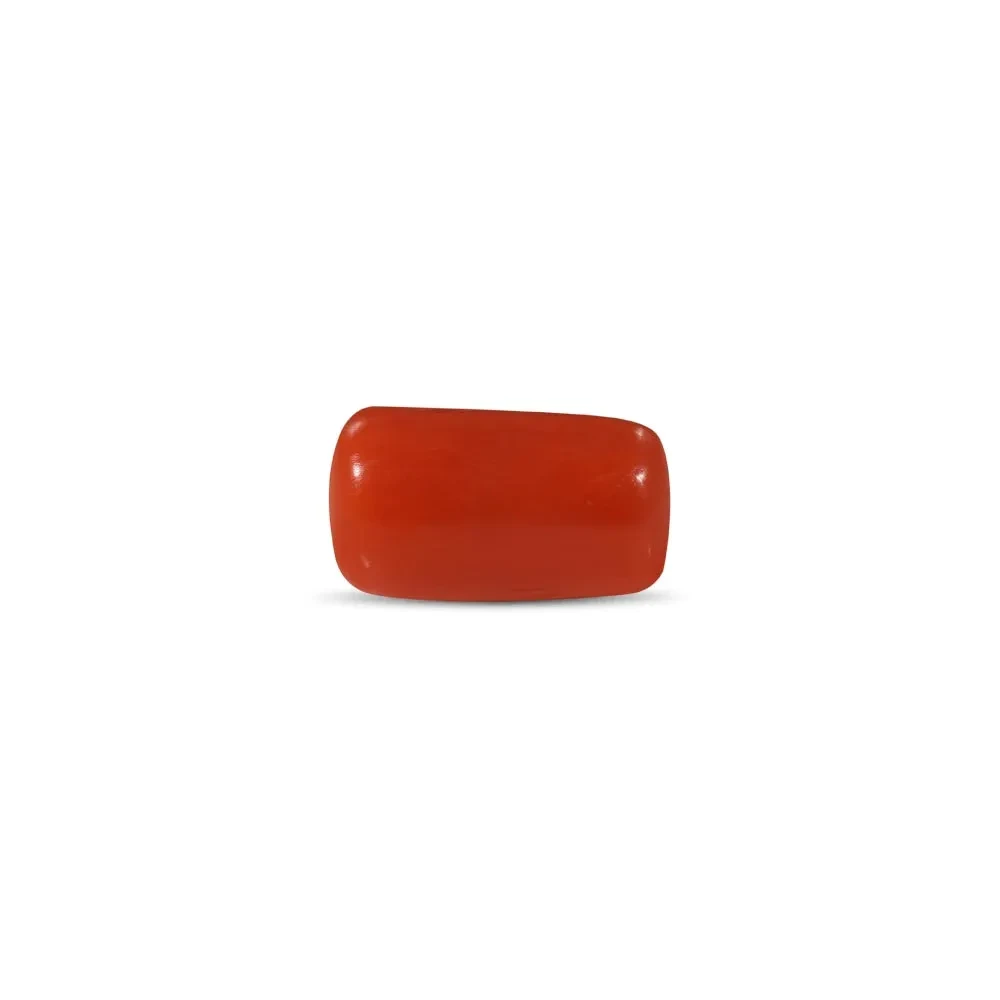 Red Coral - 2.51 Carat