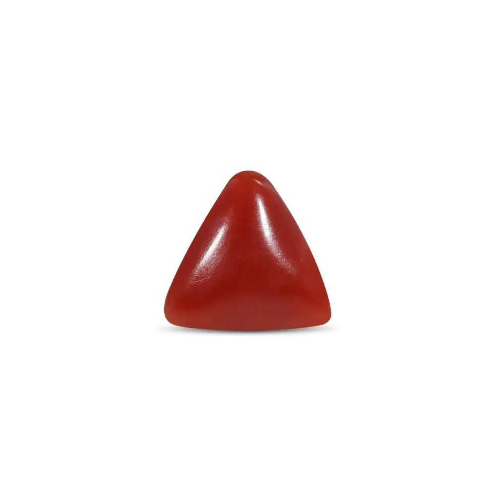 Red Coral - 1.96 Carat